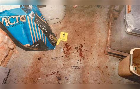 alex murdaugh crime scene photographs|Every Gruesome Crime Scene Photo Revealed In。